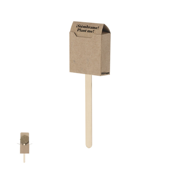 Zaad-Lolly Zaden Ebeldy