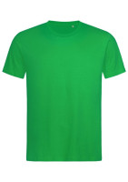 355C Kelly Green